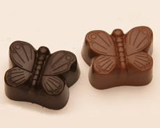 Chocolate Butterfly