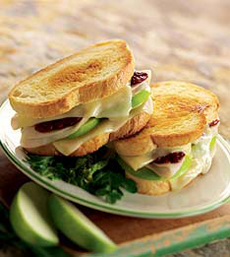 Grilled Cheese - Turkey And Fontina Sandwich