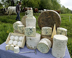 Raw Milk Cheese