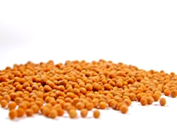 Mustard Seeds