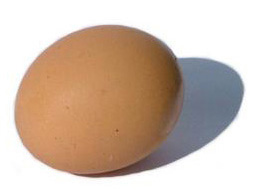 Brown egg