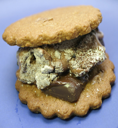 S'Mores