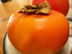 Persimmon