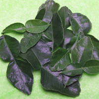 Kaffir Lime Leaves