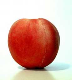 Peach