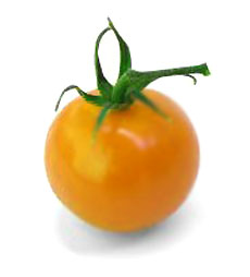 Yellow Cherry Tomato