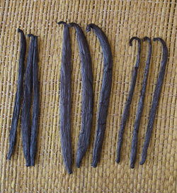 Vanilla Beans