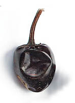 Dried Cascabel Chile