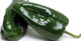 Poblano Chile