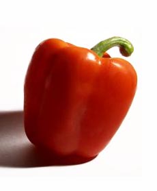 Bell Pepper