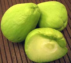 Chayote