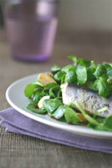 Sardine Salad