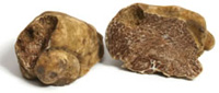 white truffle