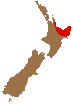 New Zealand Map