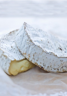 Brie Camembert