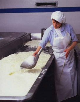 Curd formation
