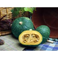 kabocha squash