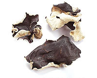 Wood Ears