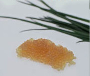 Ginger Whitefish Caviar