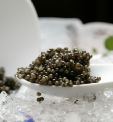 Naccarii Caviar Naccarii Caviar