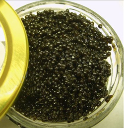 Bowfin Caviar