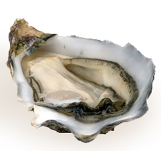 Royal Miyagi Oyster