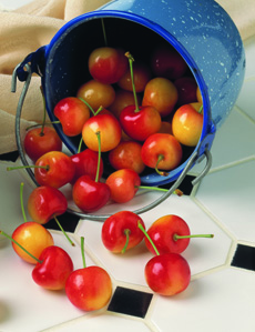 Rainier cherries