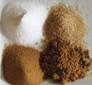 Rapadura Sugar