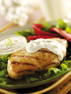 Chicken Breast With Yougurt Sauce