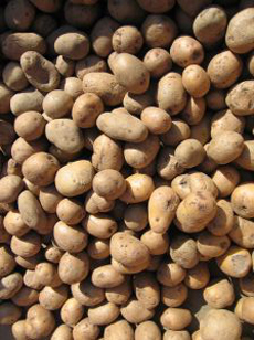 Potatoes