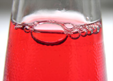 Red fizzy beverage