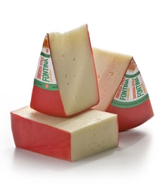 Fontina