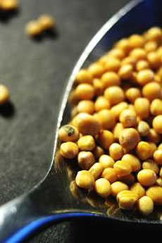 Yellow Mustard Seeds