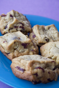 Cranberry Walnut Cookies