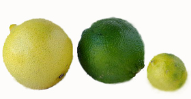 Limes