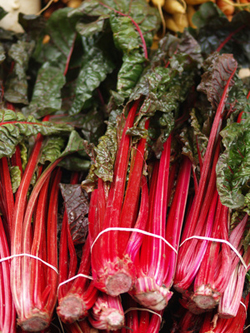 Rhubarb