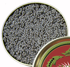 Sterlet Caviar