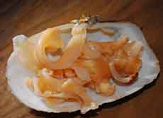 Geoduck Sashimi Geoduck Sashimi