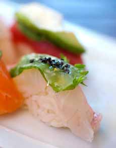 Tai, Sea Bream Tai, Sea Bream