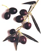 Hojiblanco olives