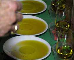 Olive Oil