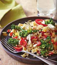 Orzo Pasta Orzo Pasta