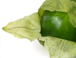 Tomatillo