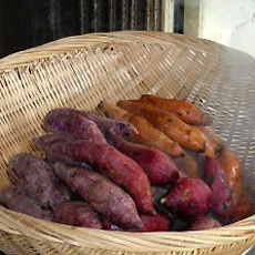 Sweet Potatoes