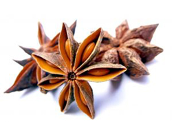 Star Anise