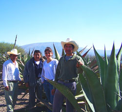 Agave Farm