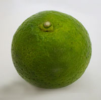 Japanese Lime