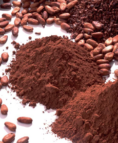 Cocoa Powder