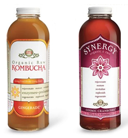 kombucha