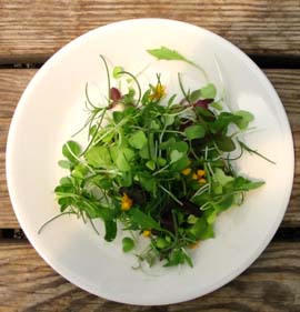 Microgreens